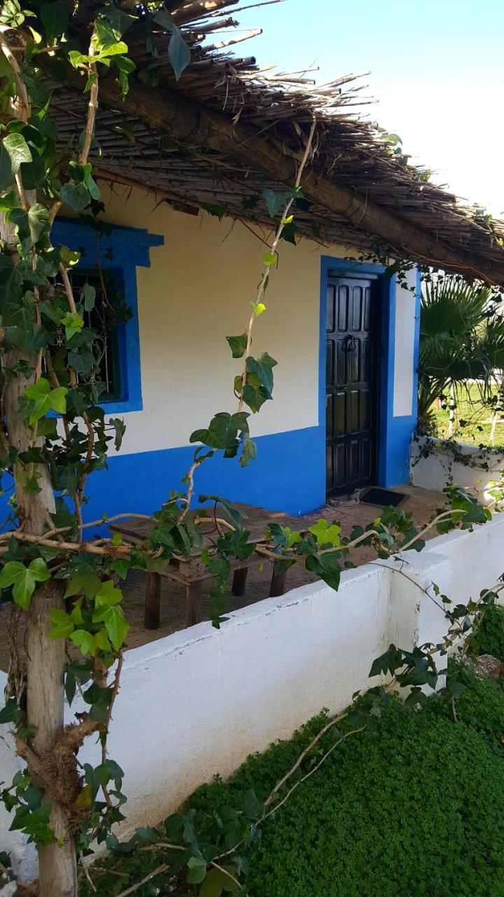 Ferma Jebala Ecolodge Kitane Exterior photo